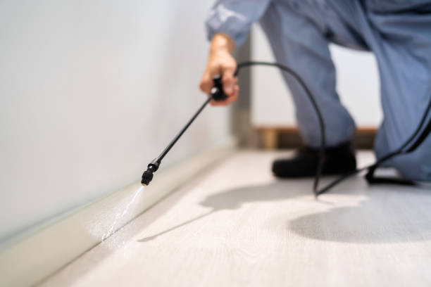 Licensed Termite Control service in Princeton, NC - Nex Pest Control