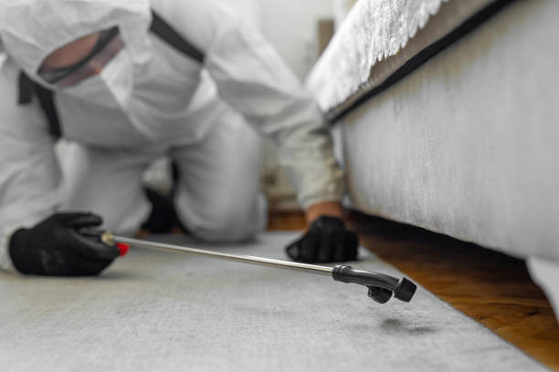 Professional Termite Control technician working in Princeton, NC