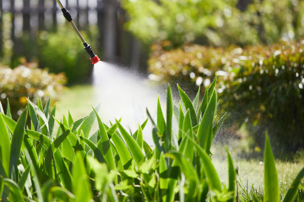 24/7 Emergency Termite Control experts in Princeton, NC