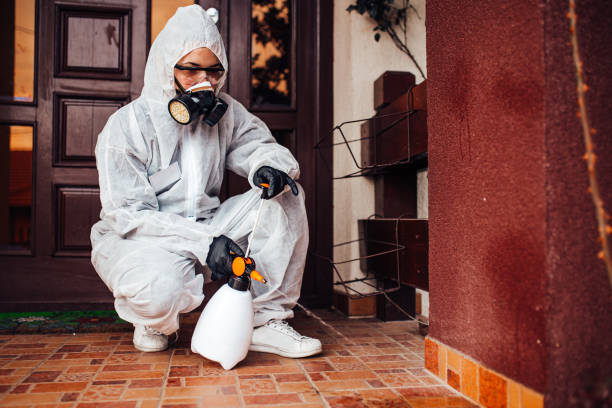 Reliable Termite Control contractor in Princeton, NC by Nex Pest Control